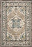 Safavieh Phoenix Phx154F Ivory / Grey Area Rug