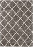 Safavieh Hudson Shag Sgh222F Grey / Ivory Area Rug