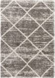 Safavieh Hudson Shag Sgh281K Distressed Grey / Ivory Area Rug