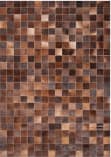 Safavieh Studio Leather Stl815T Brown / Beige Area Rug