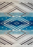 Southwest Looms Pendleton Tierra PT-1A Salt Creek Turquoise Area Rug