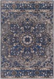 Surya Amsterdam Ams-1017  Area Rug