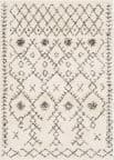 Livabliss Berber Shag Bbe-2302  Area Rug