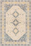 Surya City Light Cyl-2321  Area Rug