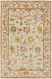 Surya Transcendent Tns-9010  Area Rug