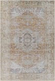 Livabliss Amelie Aml-2367  Area Rug