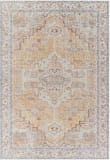 Livabliss Amelie Aml-2373  Area Rug