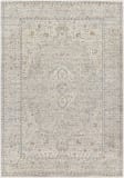 Livabliss Alpharetta Aph-2303  Area Rug