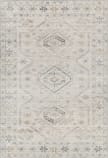 Livabliss Alpharetta Aph-2305  Area Rug