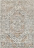 Livabliss Alpharetta Aph-2309  Area Rug