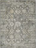 Livabliss Alpharetta Aph-2318  Area Rug