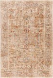 Livabliss Aspendos Aps-2318  Area Rug