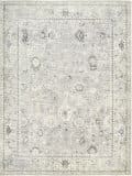 Livabliss Davina Bocc-2300  Area Rug