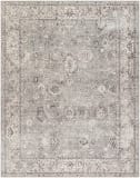 Livabliss Davina Bocc-2301  Area Rug