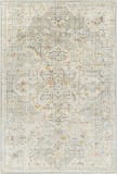 Livabliss Bitlis Bsi-2306  Area Rug