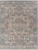 Surya Chicago Chg-2313  Area Rug