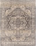 Surya Chicago Chg-2316  Area Rug