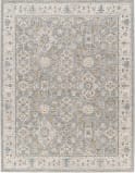 Livabliss Dresden Dre-2324  Area Rug