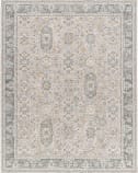 Livabliss Dresden Dre-2325  Area Rug