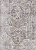 Livabliss Embrace Ema-2308  Area Rug