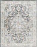 Livabliss Hassler Hsl-2305  Area Rug