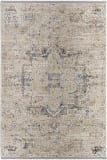 Livabliss Rivaldo Rvd-2308  Area Rug