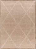 Surya San Diego Sfg-2318  Area Rug