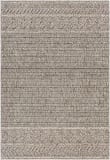 Livabliss Sarasota Sso-2303  Area Rug