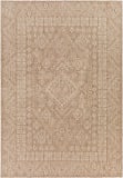 Surya Tuareg Trg-2341 Khaki Area Rug