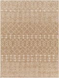 Surya Tuareg Trg-2385  Area Rug