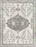 Surya Tevazu Tvz-2377  Area Rug