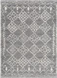 Livabliss Andorra ARD-2308  Area Rug