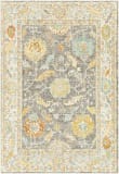 Surya Bodrum BDM-2340  Area Rug