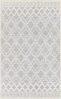 Surya Casa Decampo CDC-2300  Area Rug