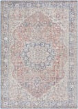 Livabliss Colin CLN-2307  Area Rug