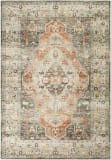 Livabliss Erin ERN-2306  Area Rug