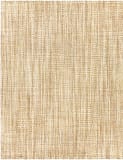 Surya Jute Woven JS-1001  Area Rug