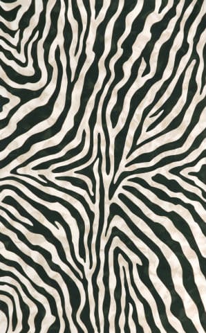 Fun Rugs Supreme Zebra Skin TSC-045 Black White