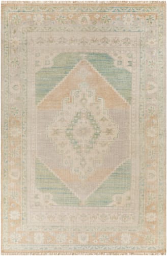 Surya Anadolu AAU-2303 6' x 9' Rug