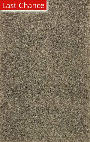 Dalyn Casual Elegance Shag At Rug Studio
