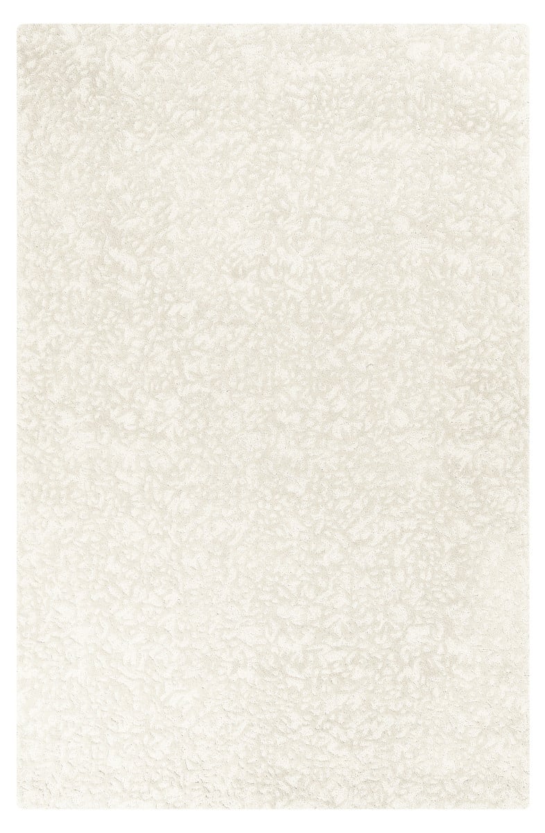 Company C Rugs Bold and Unique Rugs at RugStudio