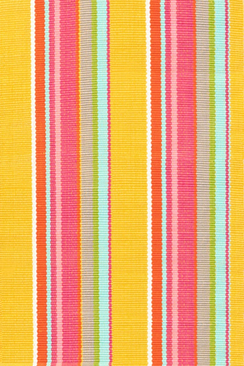 Bright Stripe Indoor Outdoor Rug, Dash & Albert