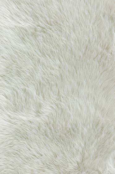 Loloi Danso DA-04 Ivory Clearance | Rug Studio