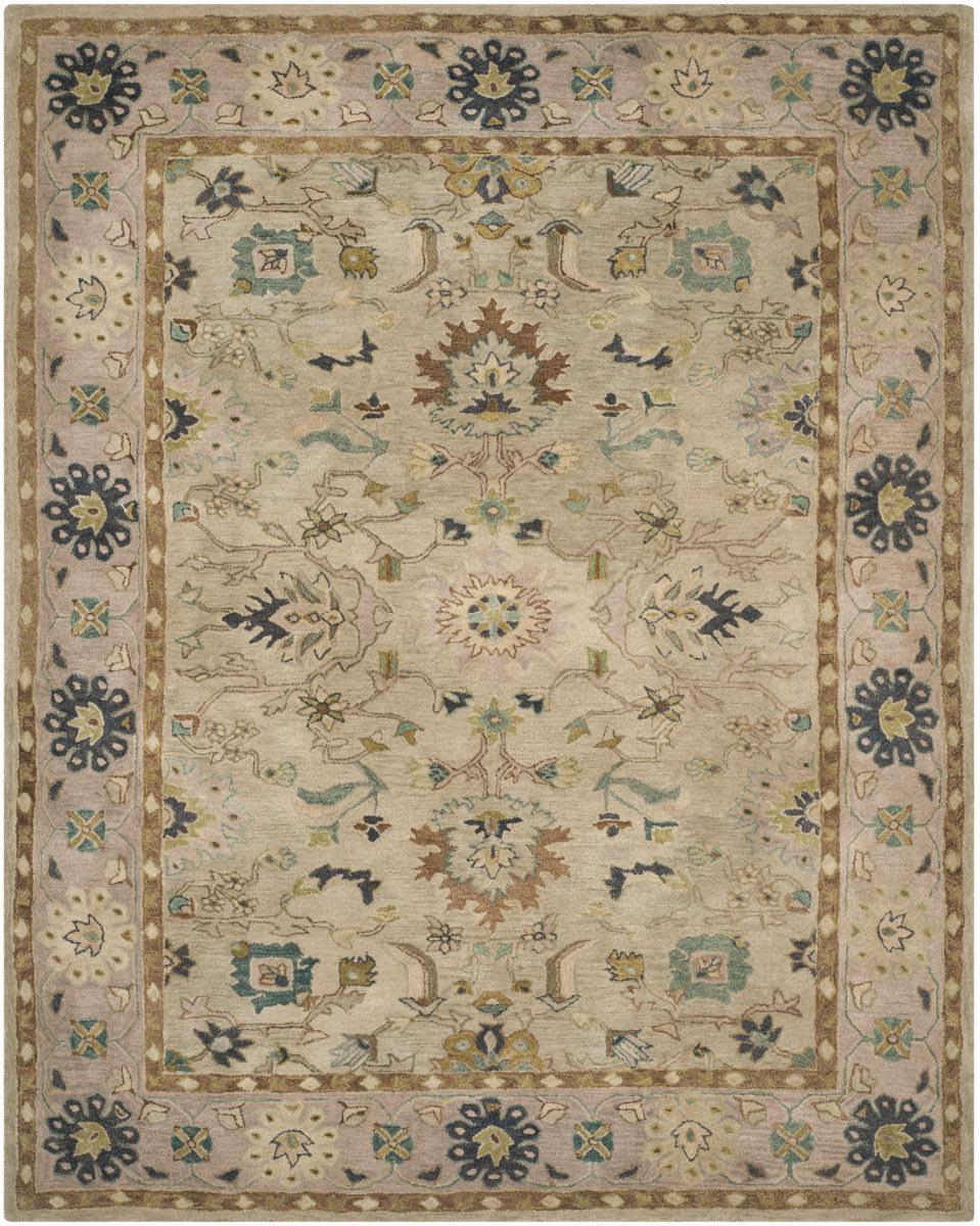 Safavieh Anatolia An585b Ivory Beige Rug Studio