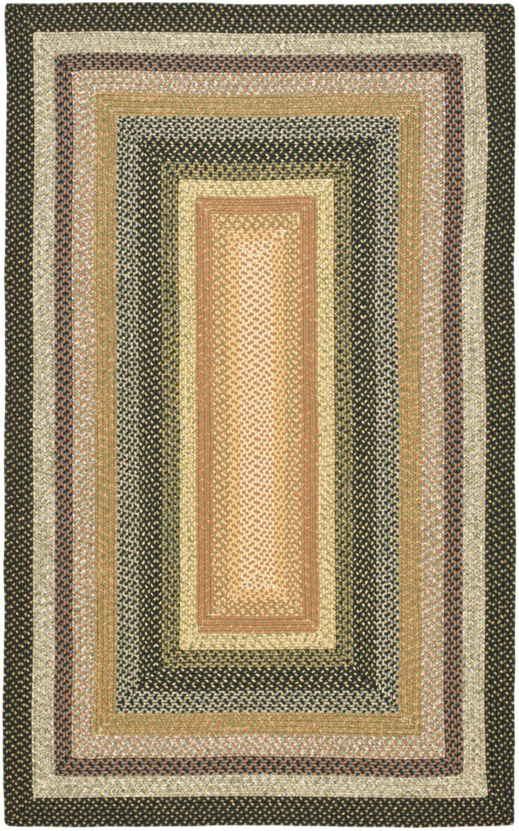 Safavieh Braided BRD308A Blue Multi Rug Studio