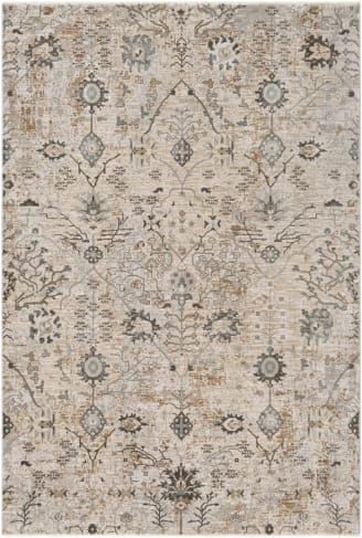 Livabliss Brunswick BWK-2311 | Rug Studio