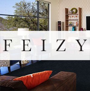 Feizy