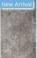 Bashian Allure A161-Alr144 Beige Area Rug
