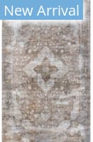 Bashian Allure A161-Alr145 Beige Area Rug