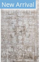 Bashian Allure A161-Alr146 Beige Area Rug